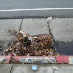 Blocked storm drains from leaves and debris cause can flooding on the streets and sidewalks.
Photo by Sabirah Mustafa, Oakland Voices 2012