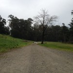This path is located at nearby Mills College. People often run, bike, jog, or take long walks on this peaceful trail. I see this area as being a healthy jewel of this neighborhood that goes untapped. Katherine Brown - Oakland Voices.