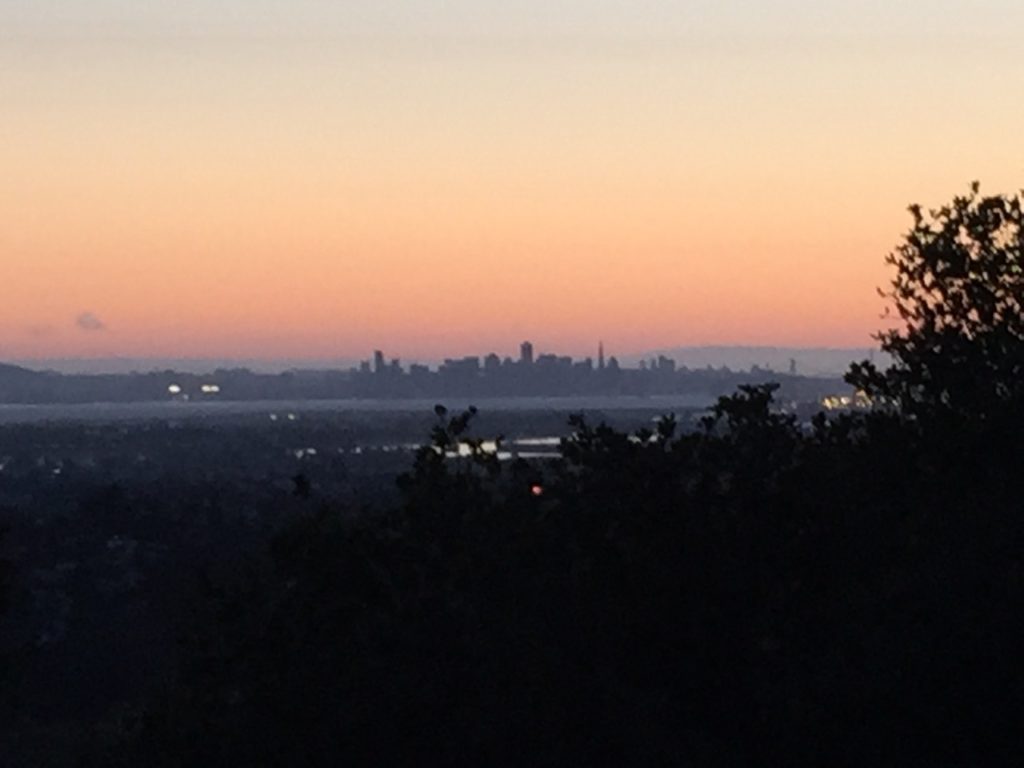 View from Leona Heights Fire Trail Overlook
