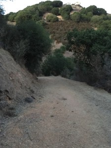 Leona Heights Fire Trail