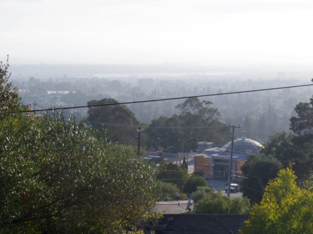 My Neighborhood- View