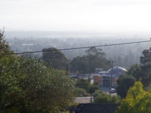 My Neighborhood- View