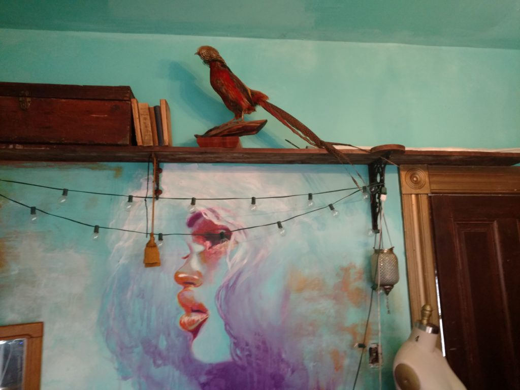 img_20161208_113853788