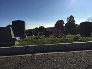 Garden of Meditation