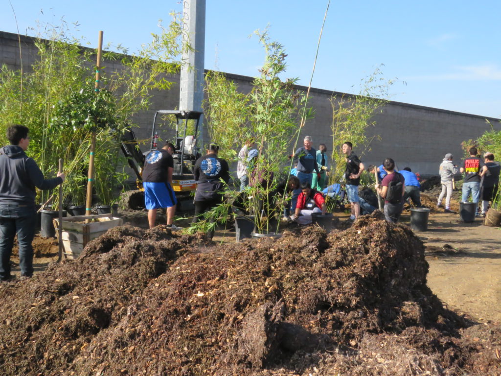 31639236983_8193b6950e_o