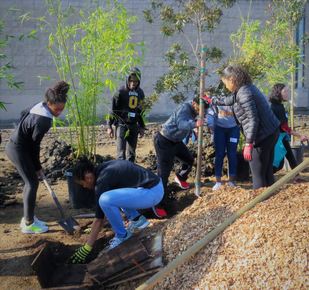 brookfield greening 2