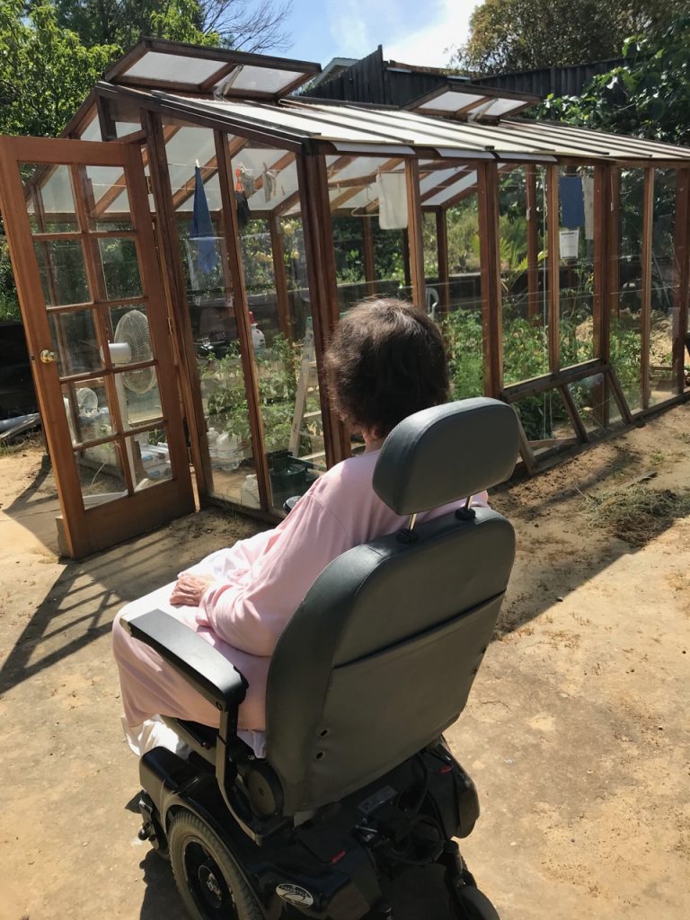 An image of a woman in a wheelchair looking at her garden.