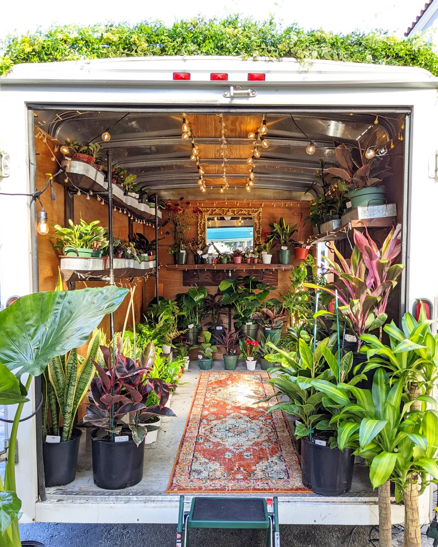 the back of a trailer is filled with beautiful plants and a green grassy rooftop