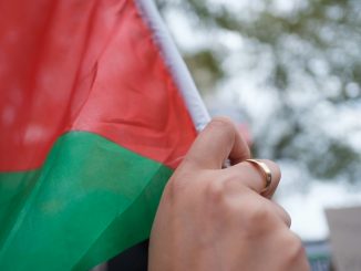 close up photo of red and green flag and hand