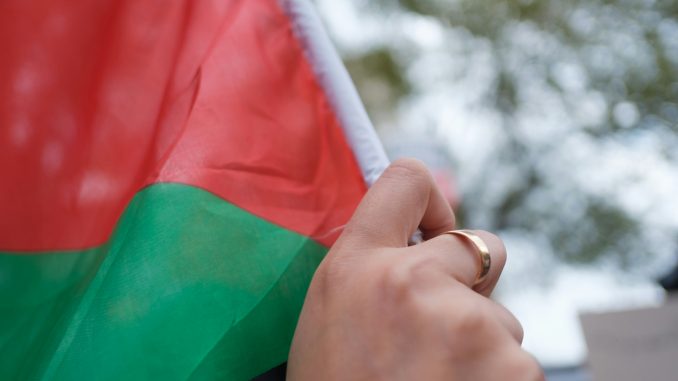 close up photo of red and green flag and hand