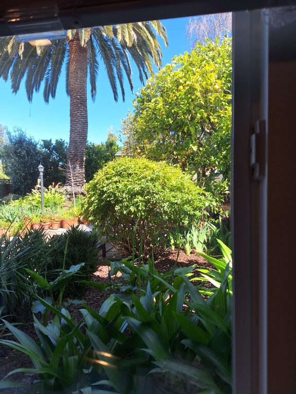 through window frames, we see a lush green garden